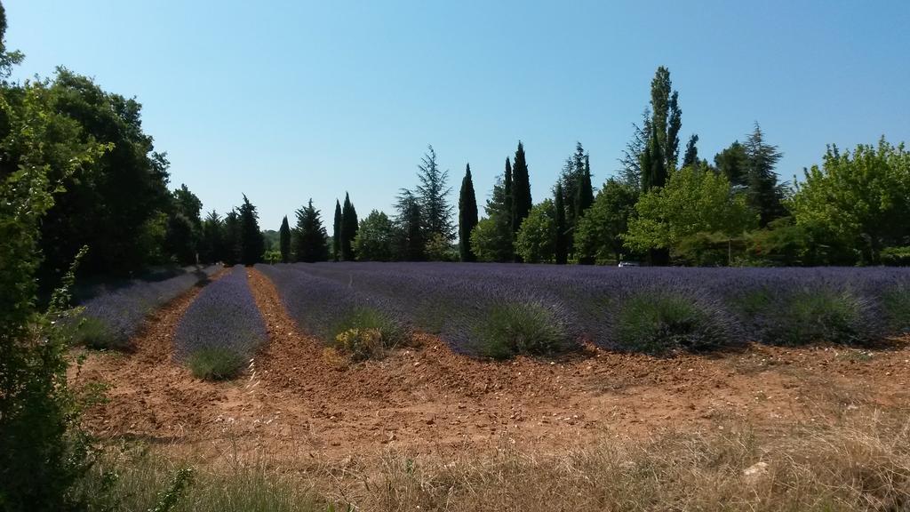 Residence Les Rossignols Roussillon en Isere Esterno foto
